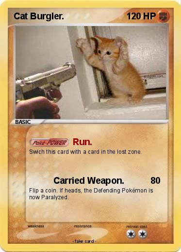 Pokemon Cat Burgler.