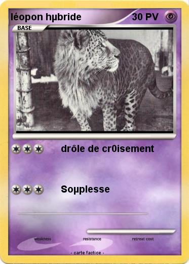 Pokemon léopon hµbride