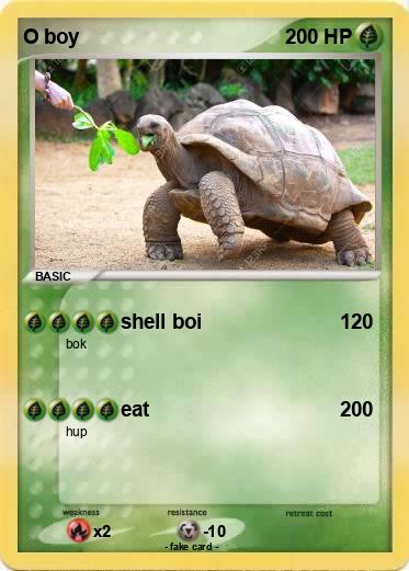 Pokemon O boy