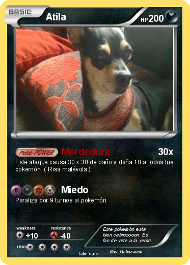 Pokemon Atila
