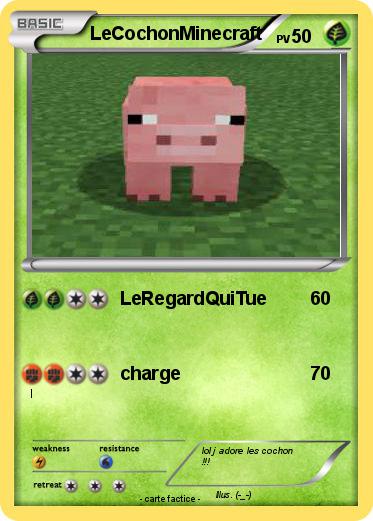 Pokemon LeCochonMinecraft