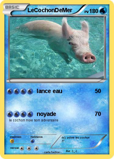 Pokemon LeCochonDeMer