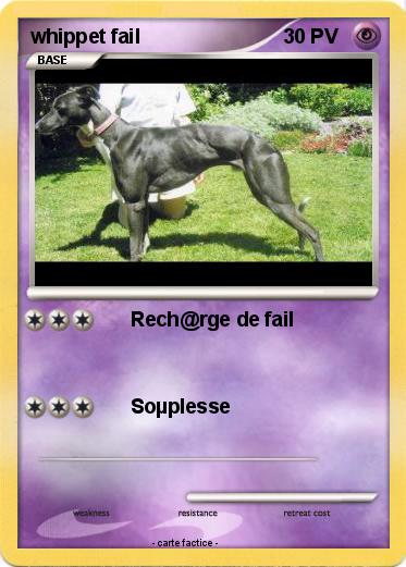 Pokemon whippet fail