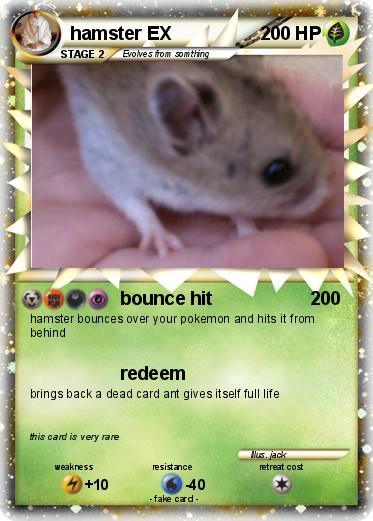 Pokemon hamster EX