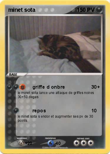 Pokemon minet sota