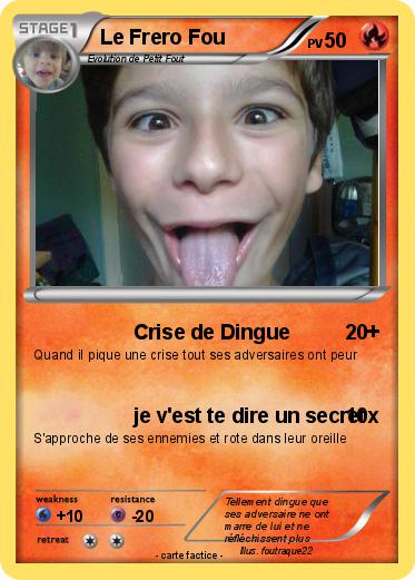 Pokemon Le Frero Fou