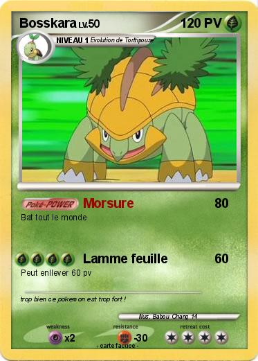 Pokemon Bosskara