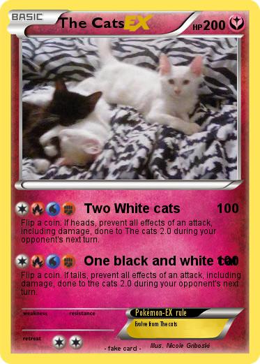 Pokemon The Cats