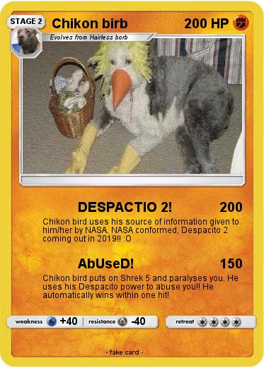 Pokemon Chikon birb