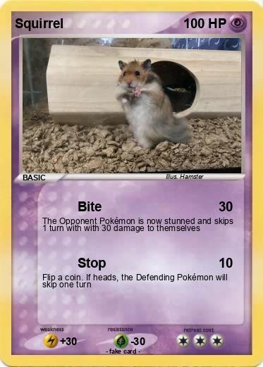 Pokemon Squirrel