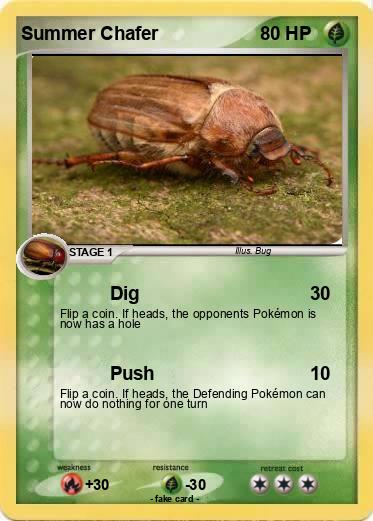 Pokemon Summer Chafer