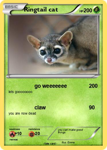 Pokemon Ringtail cat