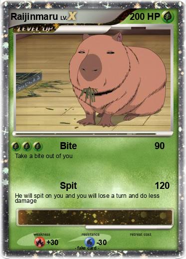 Pokemon Raijinmaru