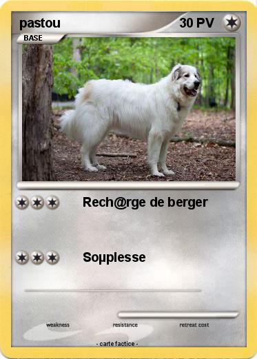 Pokemon pastou