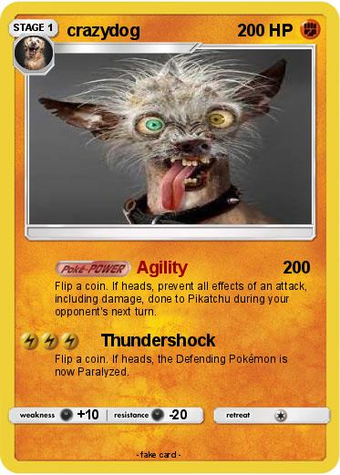 Pokemon crazydog