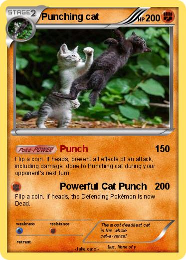 Pokemon Punching cat