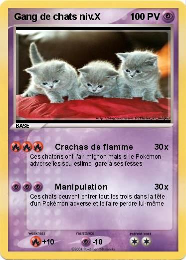 Pokemon Gang de chats niv.X
