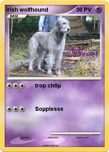 Pokemon irish wolfhound
