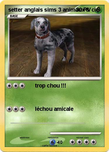 Pokemon setter anglais sims 3 animaux & cie