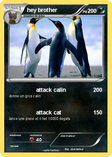 Pokemon hey brother