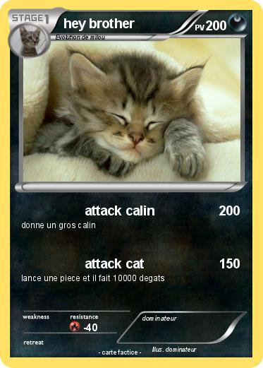 Pokemon hey brother
