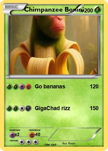 Pokemon Chimpanzee Bonini