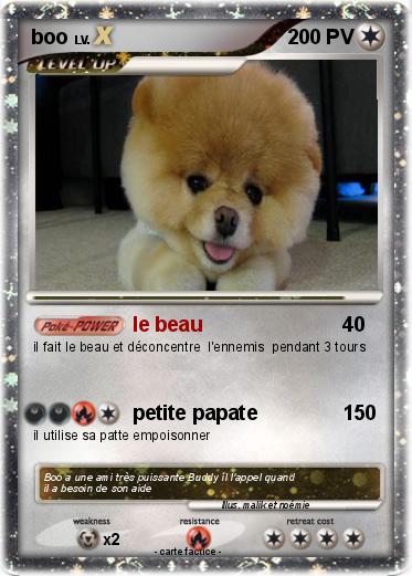 Pokemon boo