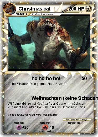 Pokemon Christmas cat