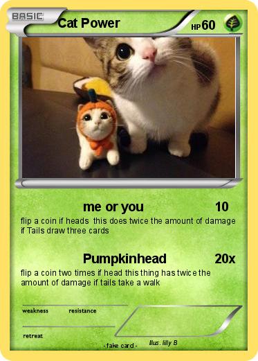 Pokemon Cat Power