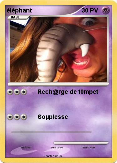 Pokemon éléphant