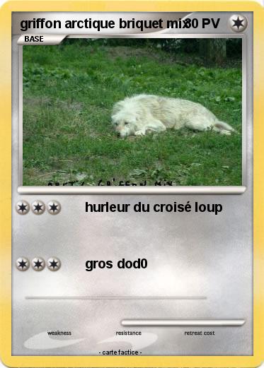 Pokemon griffon arctique briquet mix