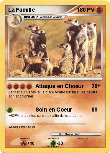 Pokemon La Famille