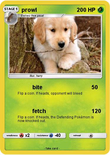 Pokemon prowl