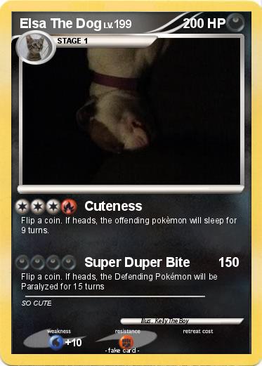 Pokemon Elsa The Dog