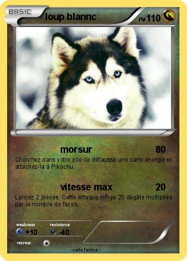 Pokemon loup blannc