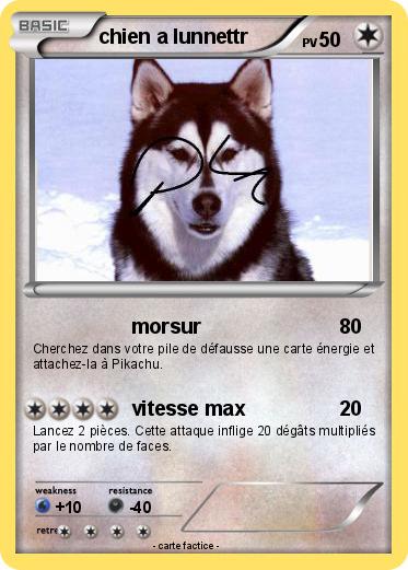 Pokemon chien a lunnettr