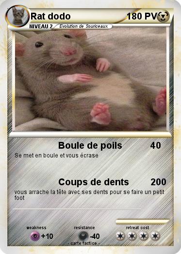 Pokemon Rat dodo