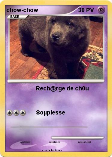 Pokemon chow-chow