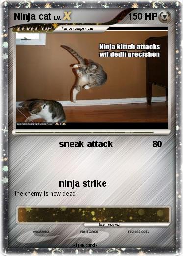 Pokemon Ninja cat