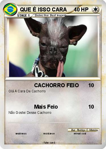 Pokemon QUE É ISSO CARA