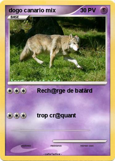 Pokemon dogo canario mix