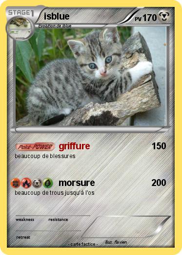 Pokemon isblue