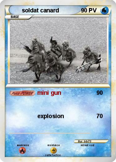 Pokemon soldat canard