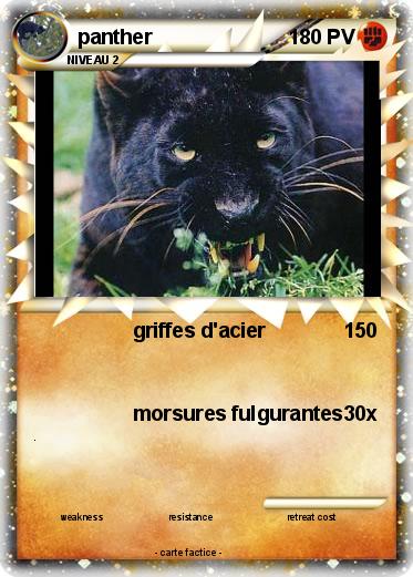 Pokemon panther
