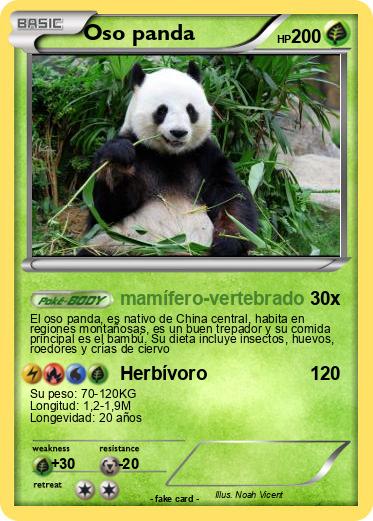 Pokemon Oso panda