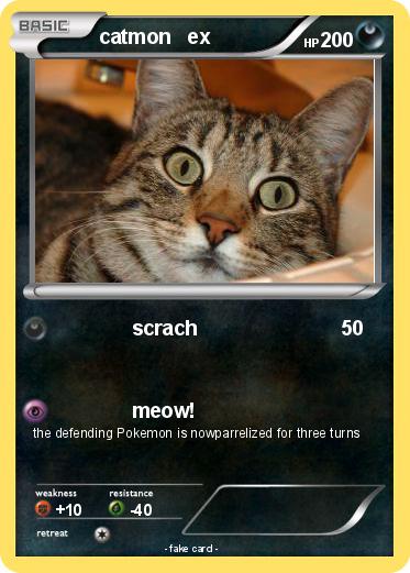 Pokemon catmon   ex