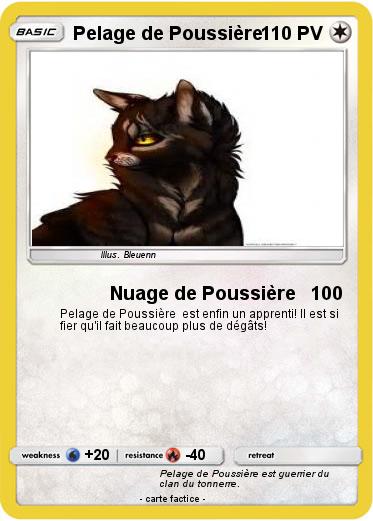 Pokemon Pelage de Poussière