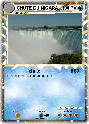 Pokemon CHUTE DU NIGARA