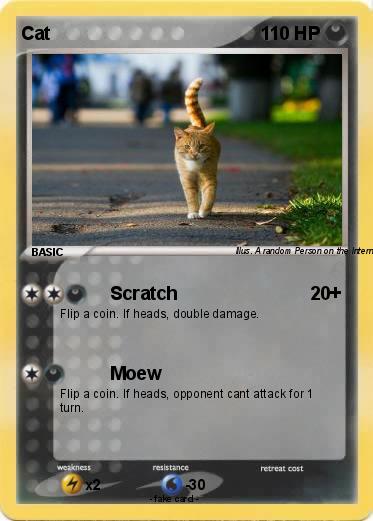 Pokemon Cat