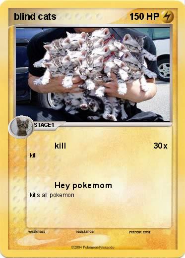 Pokemon blind cats